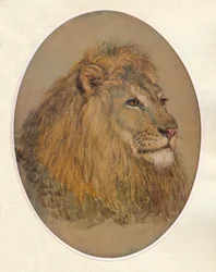 Testa di Leone, c. 1896