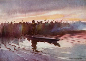 Norfolk Broads: Caccia al volo