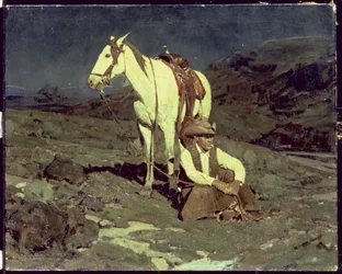 Il falco della notte