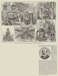 Il Museo di Mr F Horniman, Forest Hill