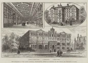 Nuovi Edifici del London Hospital, Whitechapel, inaugurati sabato dal Principe e dalla Principessa di Galles