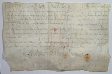 Documento firmato dall