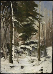 Bordo del bosco