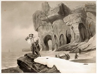 Isola dell