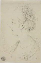 Busto di profilo di giovane donna
