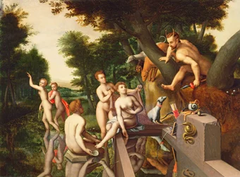 Immagine sconosciuta