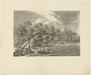 Paesaggio tropicale