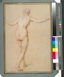 Nudo femminile in piedi visto da dietro
