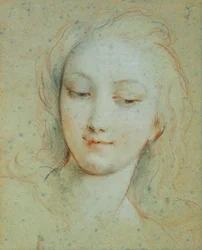 La testa di Venere
