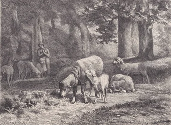 Le pecore, da Magasin Pittoresque, 1862