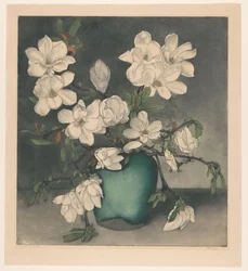 Rami di magnolia