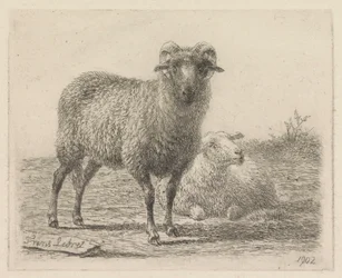 Ariete e pecora