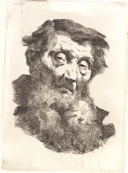 Vecchio con barba grigia divisa in due