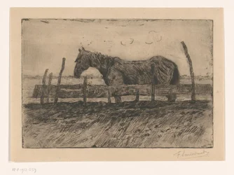 Cavallo