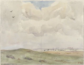 Paesaggio dunale con gregge