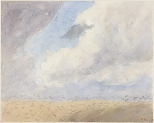 Campo di grano