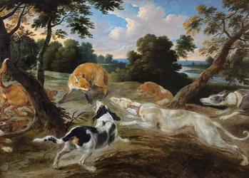 Una volpe circondata da cani da caccia