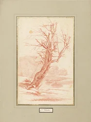 Studio dell