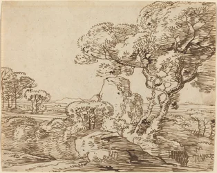 Paesaggio con alberi e rocce frastagliate