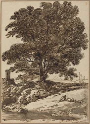 Costa con un Grande Albero