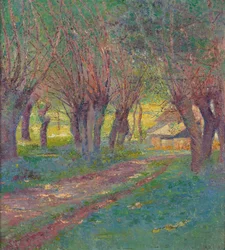 Salici a Weyer