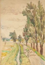 Strada di campagna con alberi