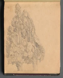 Album con vedute di Roma e dintorni, studi di paesaggio, pagina 13a: Alberi