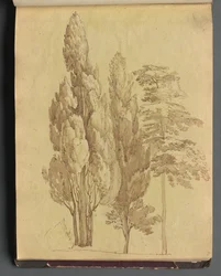 Album con vedute di Roma e dintorni, studi di paesaggio, pagina 15a: Alberi