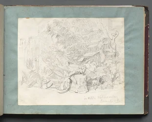 Album con Vedute di Roma e Dintorni, Studi di Paesaggio, pagina 24a: In Villa Walkonsky