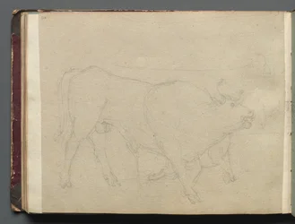 Album con vedute di Roma e dintorni, studi di paesaggio, pagina 51b: Studio di un toro