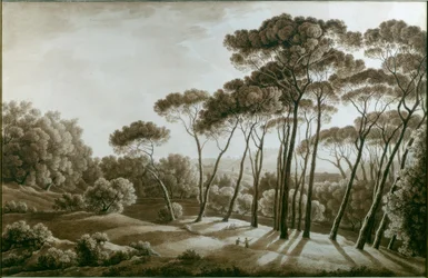 I pini di Villa Doria Pamphili