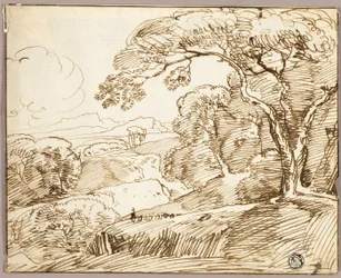 Paesaggio panoramico