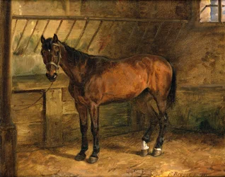Cavallo nella stalla