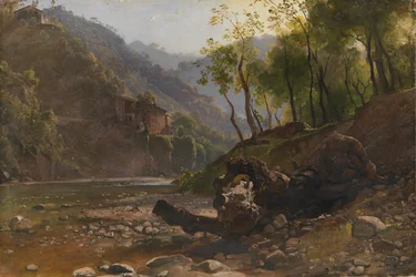 Veduta di un fiume boscoso