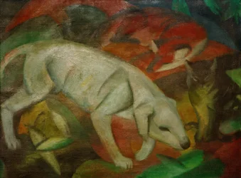 Cane, gatto, volpe