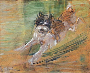 Cane che salta
