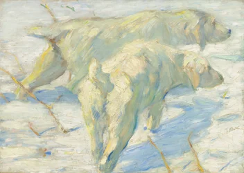 Cani siberiani nella neve