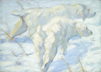 Cani siberiani nella neve