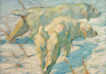 Cani da pastore siberiani (Cani siberiani nella neve)