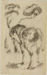 Cavallo in piedi con alberi