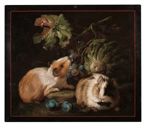 Pannello micromosaico romano raffigurante due cavie che mangiano cavolo e uva, 1800-25