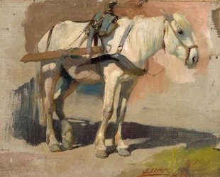Cavallo bianco imbrigliato