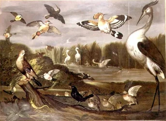 Paesaggio fluviale con una ghiandaia, un codirosso, un germano reale, una ballerina e altri uccelli