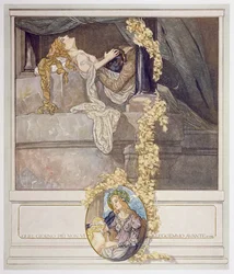 Illustrazione dalla 