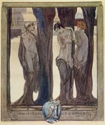 Illustrazione dalla 