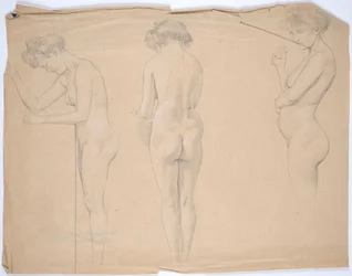 Studi di nudo di una donna incinta