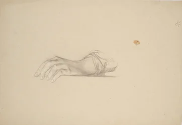 Studio manuale