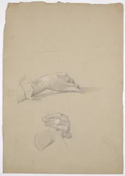 Studi manuali