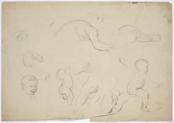 Studi sui nipoti