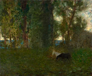 Cavalli al pascolo